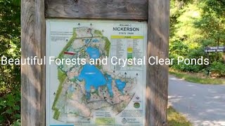 Unveiling the Breathtaking Beauty of Nickerson State Park [upl. by Aihsilef]