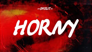 OPOZIT  HORNY LYRICS [upl. by Edras]