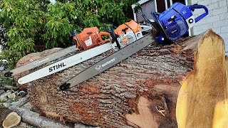 Big chainsaws in big wood  2023 edition Stihl MS881 Husqvarna 3120xp amp FarmerTec G888 [upl. by Eineeuq864]