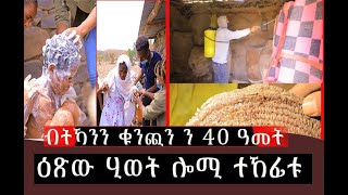 ዕጽው ሒወት ሎሚ ተኸፊቱ ን 40 ዓመት ዓይነን ኣይርእያን ቀትርን ለይትን ውን ዕጽውቲ እያ ገዝአን quotሓትኖ ኣትሌት ወርቅነሽ ኪዳነ quotዝምስሊ ኽበጽሓ ግበሩ [upl. by Fleisig]