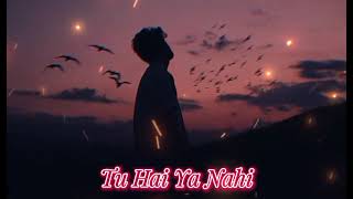 Tu Hai Ya Nahi  Original Song  lofimusic lofimusic lofi [upl. by Westbrook]