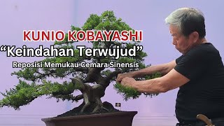 PART 4 quotHarmoni yang Abadiquot Master KUNIO KOBAYASHI  Keindahan Setelah Reposisi Cemara Sinensis [upl. by Aikemat]