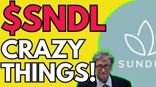 SNDL Stock sundial growers stock SNDL STOCK PREDICTIONS SNDL STOCK Analysis Sndl stock news today [upl. by Uzzial]