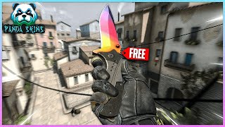 GET FREE COUNTER STRIKE 2 SKINS AT PANDASKINS [upl. by Krever]