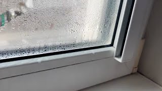 I place it on the windowsill The windows wont fog up all winter [upl. by Barayon95]