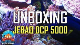 Jebao DCP5000 Unboxing [upl. by Hedda]