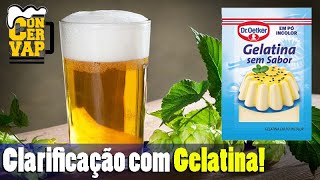 Clarificação de cerveja caseira com gelatina tudo que você precisa saber [upl. by Anyzratak]