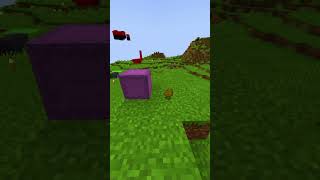 CÓMO TINTAR LOS SHULKERS EN MINECRAFT😱detrixx minecraft shorts [upl. by Austine486]