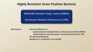 Antibiotics for Gram Positive Infections Antibiotics  Lecture 4 [upl. by Hendrickson]