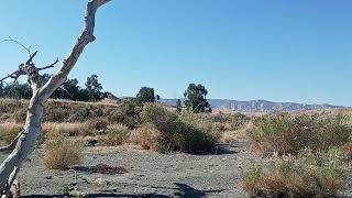 Jacolito Creek Coalinga California [upl. by Kelleher]