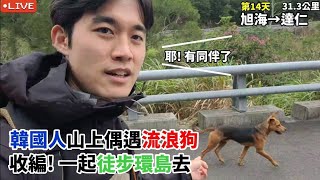 【EP142徒步環島】韓國人山上偶遇流浪囧狗狗收編 一起徒步環島去 超會吃辣的韓國人 吃到台東朝天椒後…｜遇到台灣環島明星阿北 旭海達仁313公里 [upl. by Casavant]