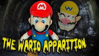 The Wario Apparition  Super Mario Richie [upl. by Jat]