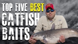 Top 5 Best Catfish Baits Made Simple  Blue Channel Flathead Catfish [upl. by Alejandra109]