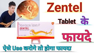 Zentel Tablet Ke Benefits ll जेंटल टेबलेट पेट के कीड़े की दवा ll Use Karne Ka Sahi Tarika ll [upl. by Ahsielat]