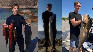 Spearfishing South Australia  Highlight Reel Samsonfish Kingfish Queen Snapper Harlequin [upl. by Ankney63]