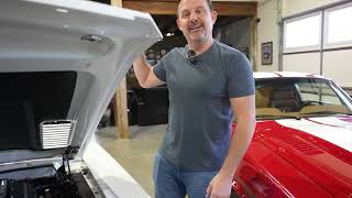 HiTech Legends 1967 Shelby GT500 Mustang Owner Review [upl. by Hilton]