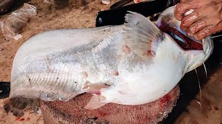 Incredible Giant Wallago Attu Catfish Egg Collection Skills And Amazing Cutting Skills। [upl. by Bengt]