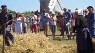 battage à lancienne  fête des moissons à Cleden Cap Sizun [upl. by Essirehc]