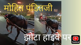 मोहित पंडितजी शकूरपुर झोटा रेस [upl. by Lewan]