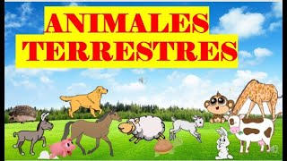 VOCABULARIO ANIMALES TERRESTRES [upl. by Spielman319]