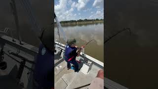 Tough life as a kid paddlefish fishing seaark [upl. by Nanreh]