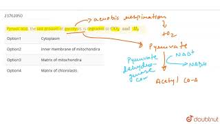 Pyruvic acid the last product of glycolysis is degraded to CO2quot and quotH2 [upl. by Berstine721]