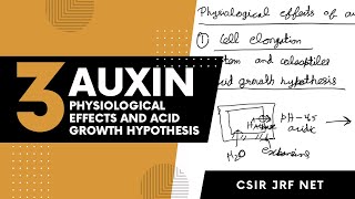 Physiological effects of auxin and acid growth hypothesis for csir net jrf and university entrance [upl. by Alenson]