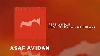 Asaf Avidan  Lost Horse feat MC Solaar [upl. by Ahsead580]