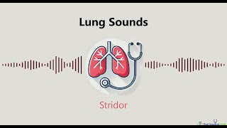 Lung Sounds Stridor [upl. by Samford]