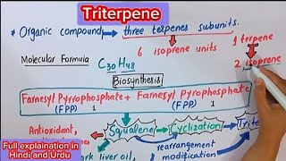 Triterpene biochemistry [upl. by Eseeryt]