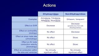 Antiarrhythmics Lesson 5  Calcium Channel Blockers [upl. by Ttenaj]