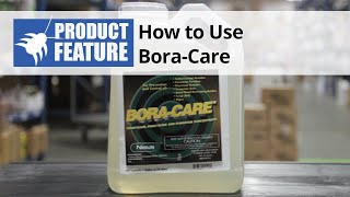 How to Use BORACARE Borate Wood Treatment [upl. by Wendelina]