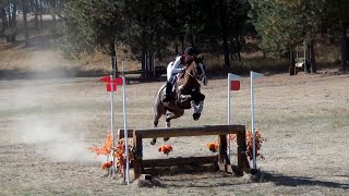 Renee Kalkman Spokane Sport Horse Farm HT September 2024 [upl. by Ahcas]