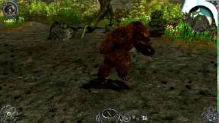 Werebear Druid  Diablo 2 Fallen [upl. by Inuat743]