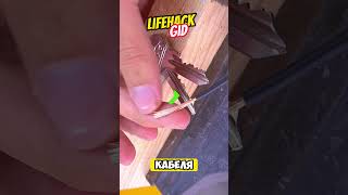 Универсальные советы для дома Больше интересного в телеграм lifehacks diy tools tips shorts [upl. by Esenej715]