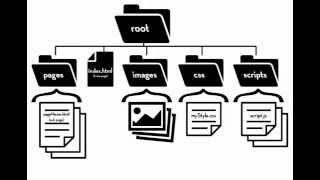 WebD 01 File and folder structure [upl. by Annawt]