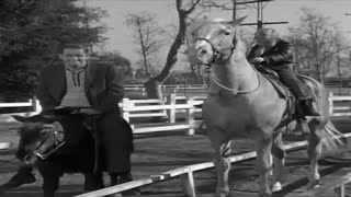 Mister Ed Season 1 Episode 4 1961 Kiddy Park [upl. by Sikata]