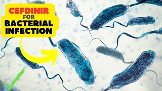 Cefdinir Side Effects Navigating the Path to Antibiotic Healing [upl. by Hobard]