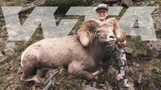 OnceInALifetime Bighorn Sheep Tag  Worldwide Trophy Adventures [upl. by Graf]