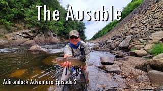 WBD  The Ausable River Epic Morning 63 Trout before 11AM Episode 2 [upl. by George]