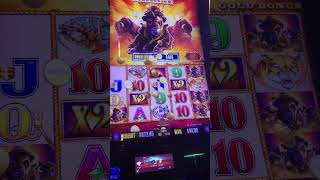 BIG WIN 🥇 TRIPLE WILDS Buffalo Gold slots Max Bet 🍀 [upl. by Einolem418]