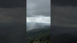 Munnar munnar youtubeshorts youtube shorts short [upl. by Aisined699]