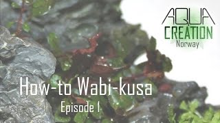 Howto Wabikusa Episode 1  Composit soil [upl. by Olegnaid890]