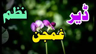 ډېر ښايسته نعت دينوي نعت 2024ترنم حليم يار زابلي [upl. by Alekat]