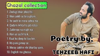 Tehzeeb hafi Poetry  urdu ghazal collection  listen to Hafi  best hindi poetry [upl. by Sset934]