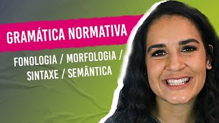 GRAMÁTICA NORMATIVA Fonologia Morfologia Sintaxe Semântica Aprenda a diferenciar [upl. by Nohtanhoj147]