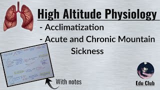 High Altitude Physiology  Acclimatization  Mountain sickness  Respiratory Physiology [upl. by Maiah]