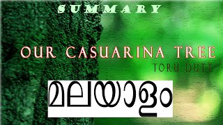 Our Casuarina Tree by Toru Dutt  Summary in Malayalam [upl. by Aid]