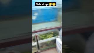 Fish shop 😄🐠youtubeshorts fish fishtankvlog viralvideo fishshop fishtank [upl. by Sorips]