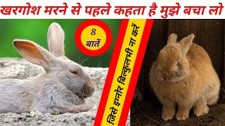 खरगोश मरने से पहले क्या संकेत देता हैKhargosh Ko Marne Se Kaise BachayenRabbit Is Sick How To Know [upl. by Russi]